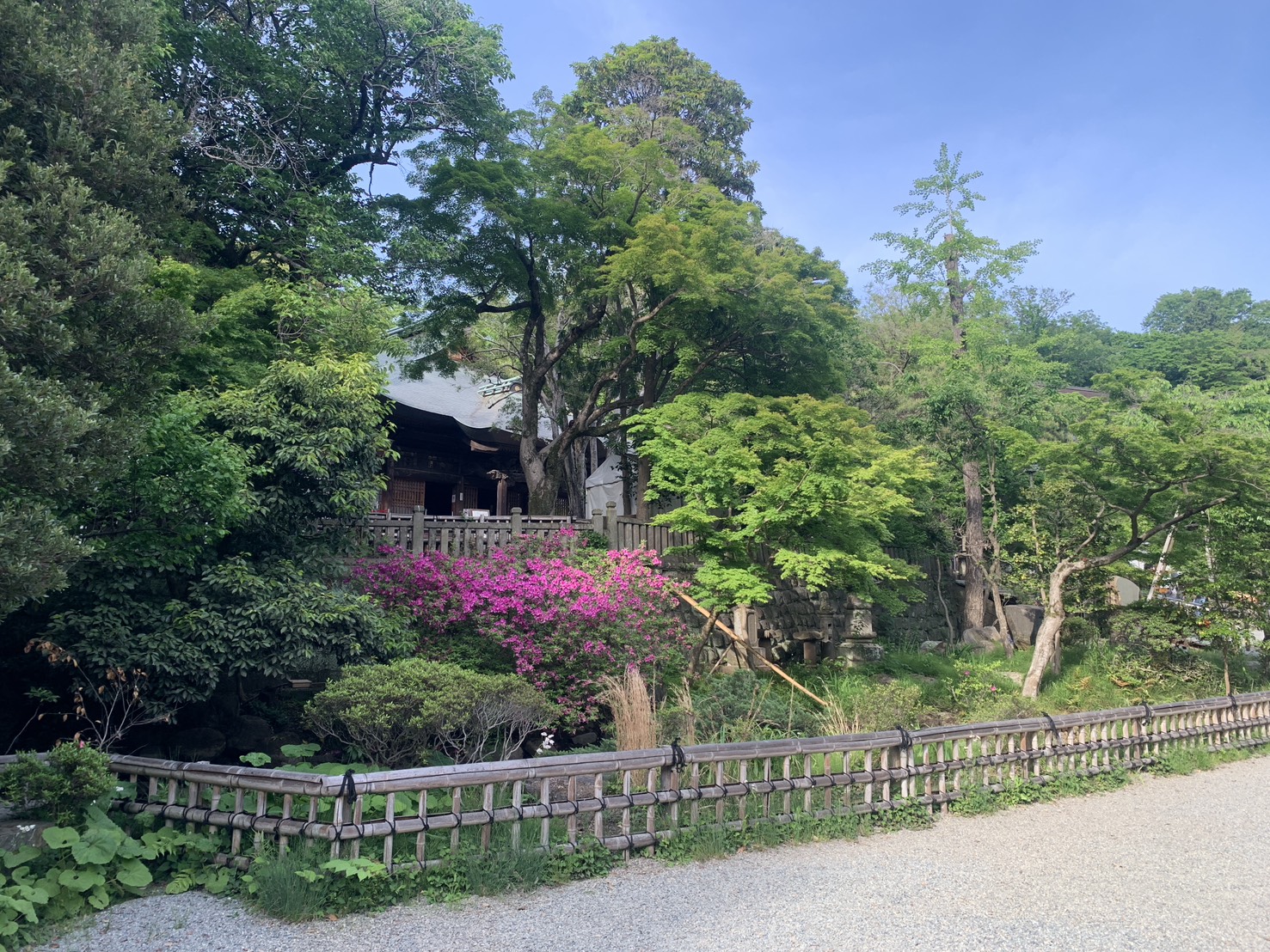 Pilgrimage photo 6