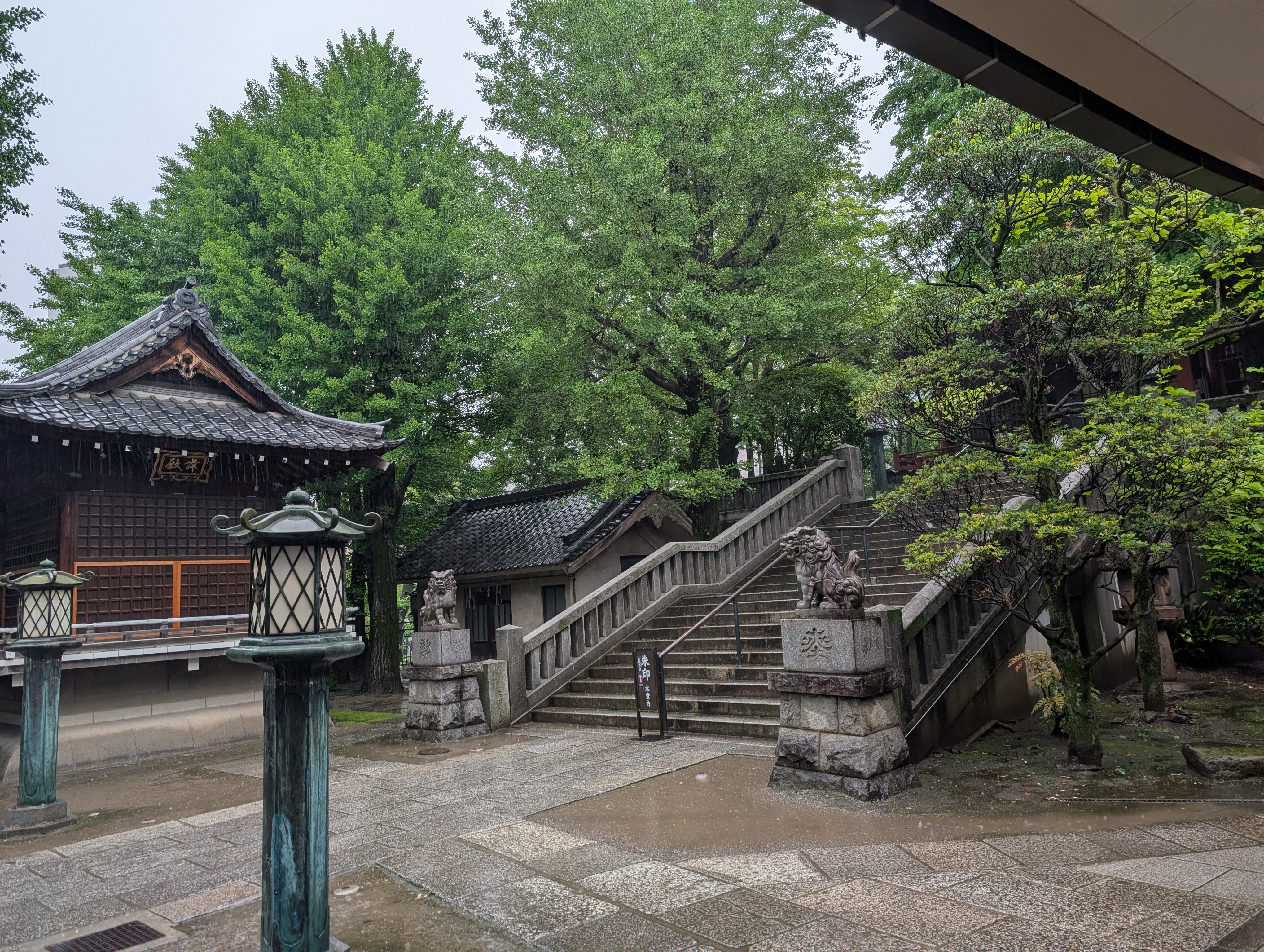 Pilgrimage photo 10
